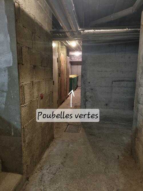 poubelles vertes